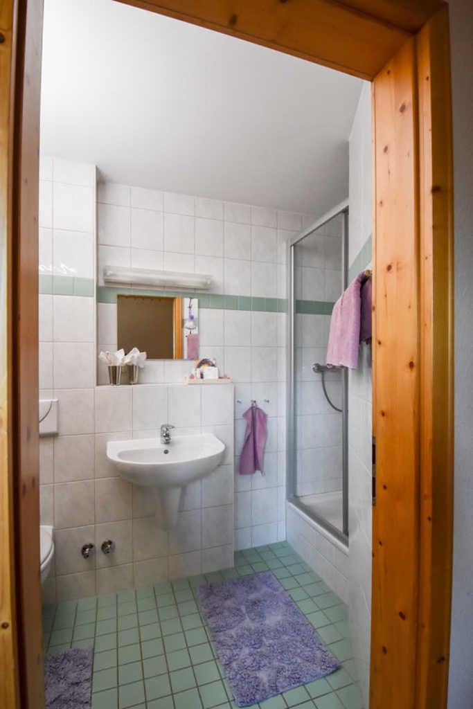 Lavendelhof Die Idyllische Landpension Crimmitschau Ngoại thất bức ảnh